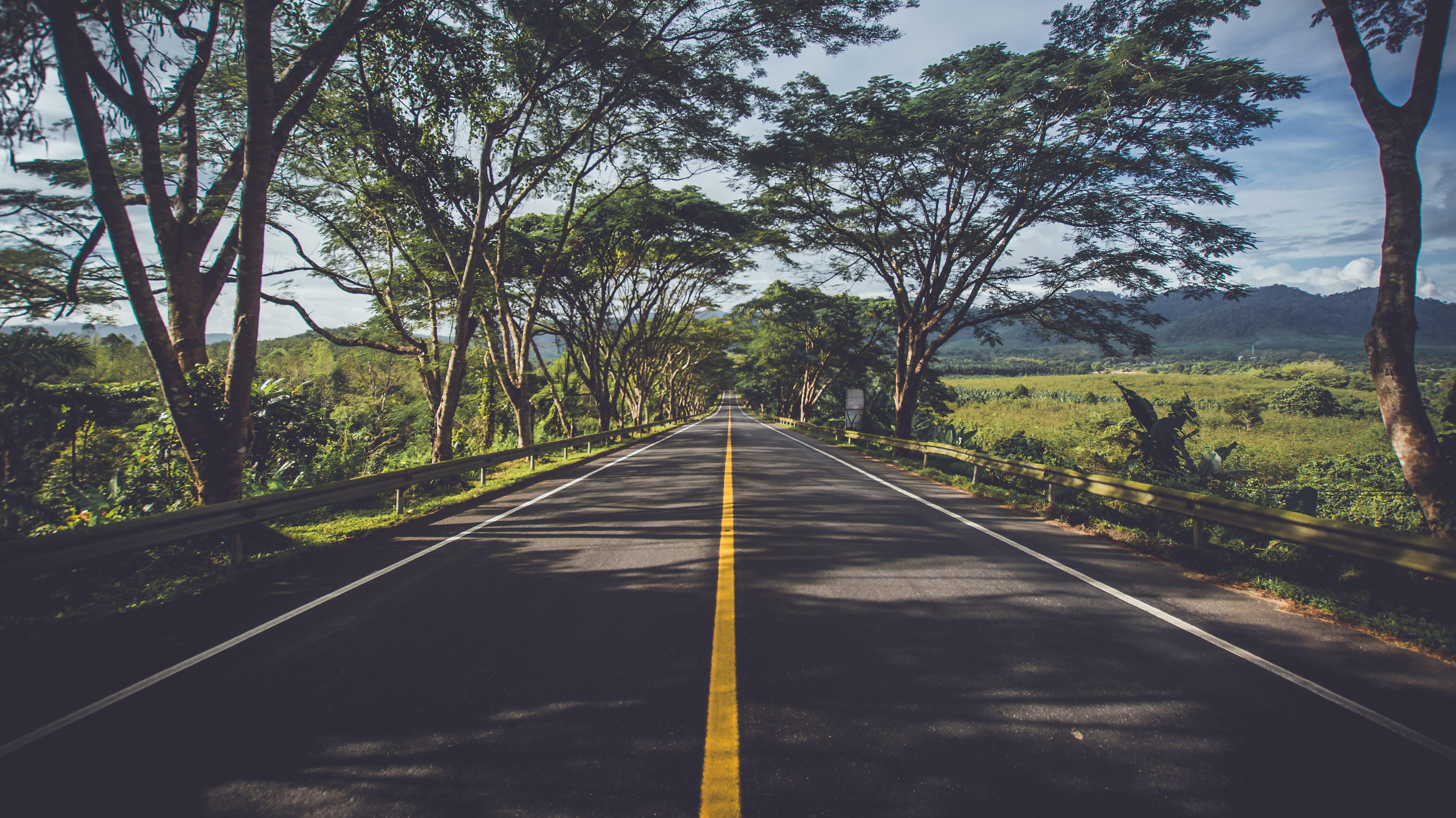 Eine Straße mit gelben Mittelstreifen mit Bäumen am Straßenrand
